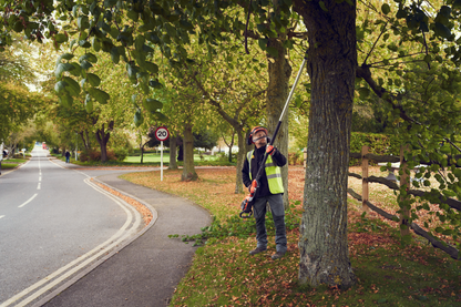 530iPT5 without battery and charger